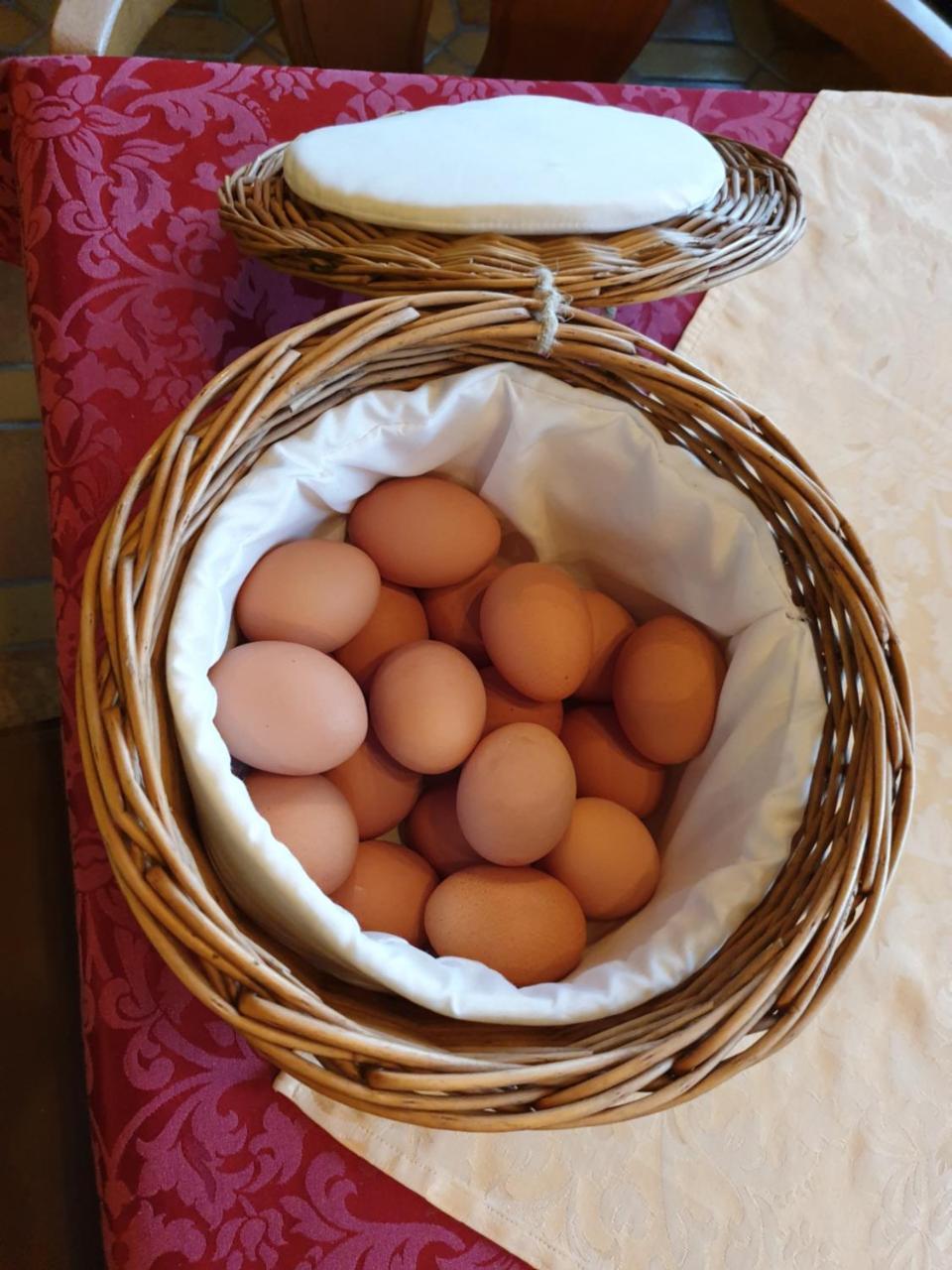 Schoenauer Hof Bach (Tyrol)